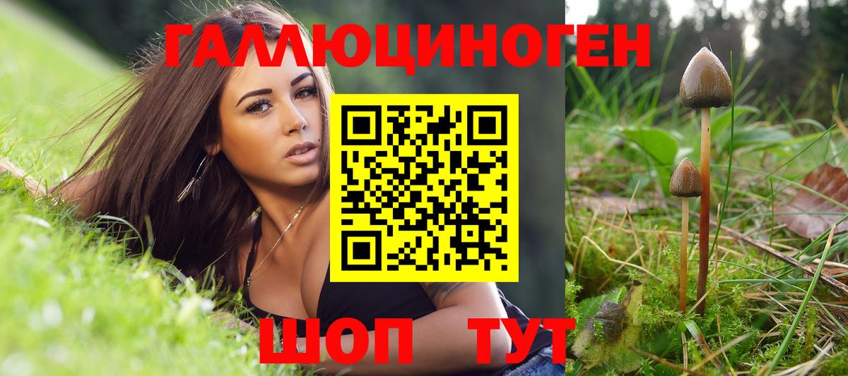 Псилоцибиновые грибы MAGIC MUSHROOMS Зеленогорск