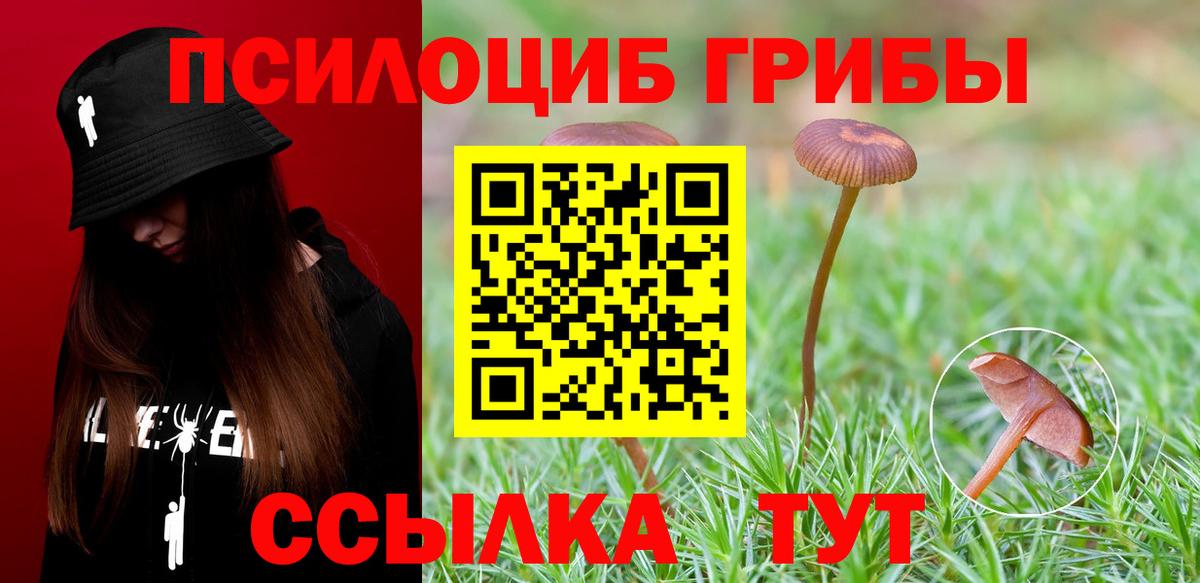 продажа наркотиков  Галлюциногенные грибы Magic Shrooms  Вход с VPN  Зеленогорск 
