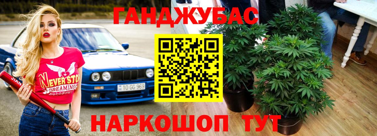 Бошки Шишки Ganja  Вход с VPN  Зеленогорск  Каннабис Ganja 